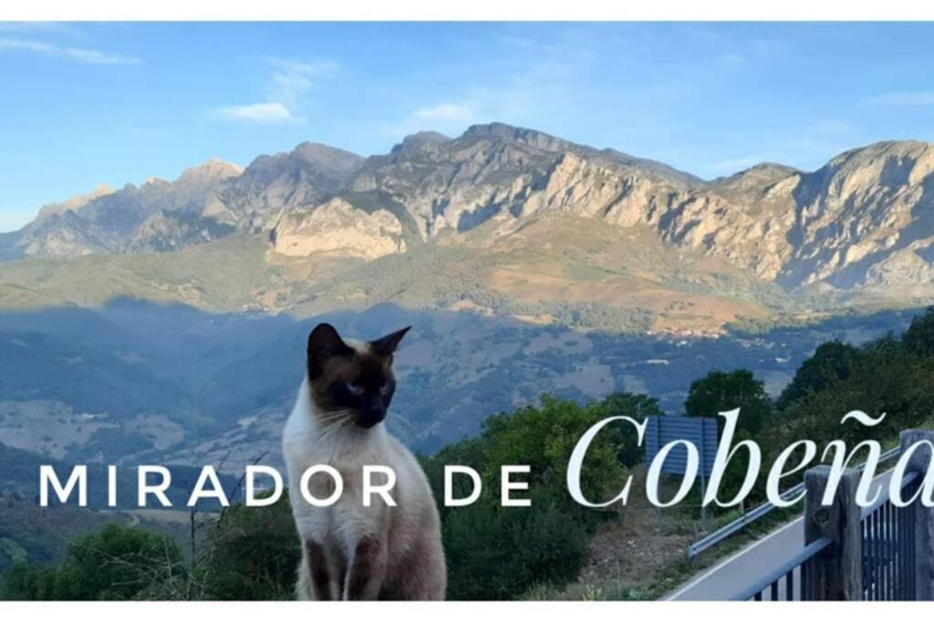 El Mirador De Cobena Ii. Aires De Liebana En Picos Daire Dış mekan fotoğraf